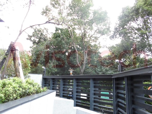 CIMG0020_结果.JPG